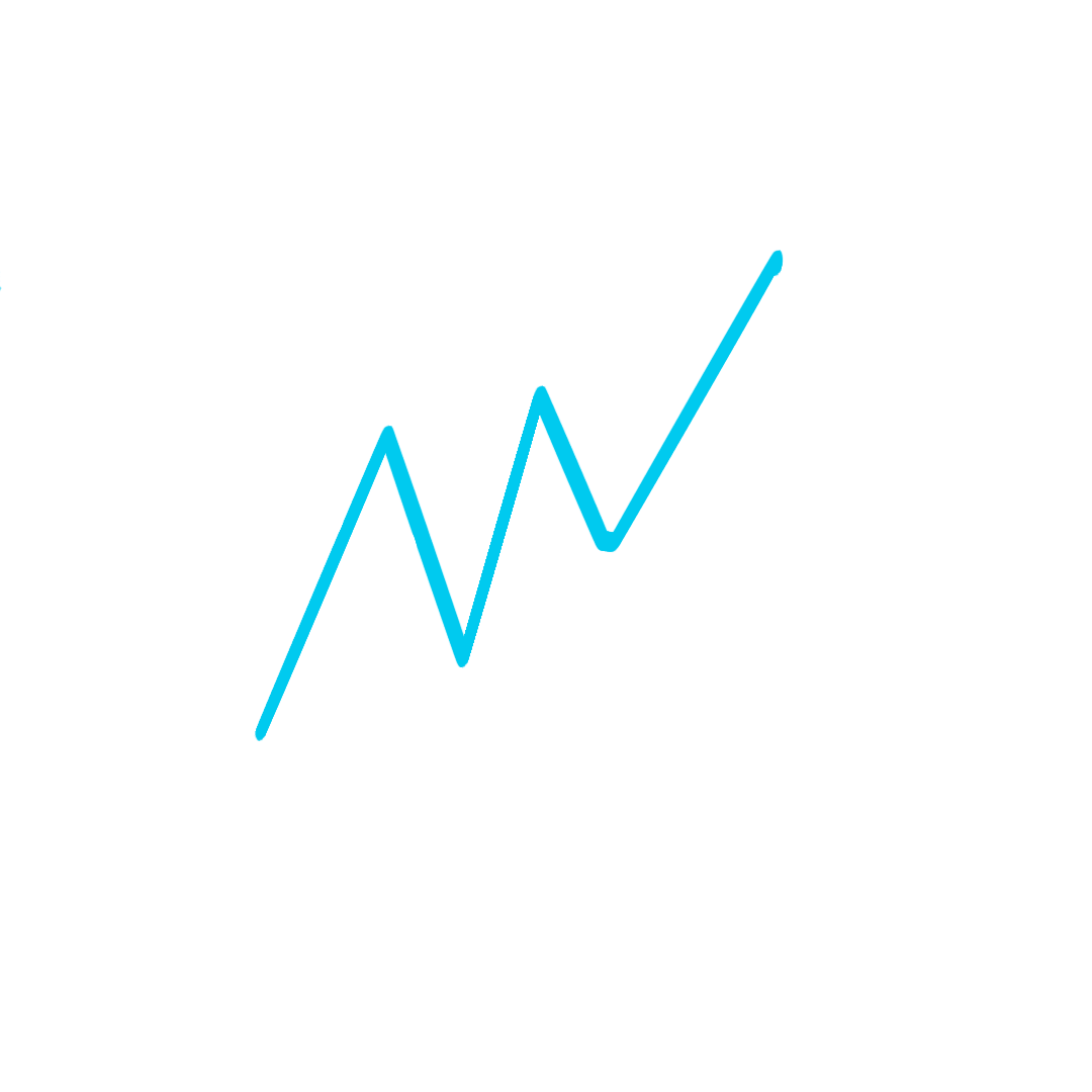 Analítica digital